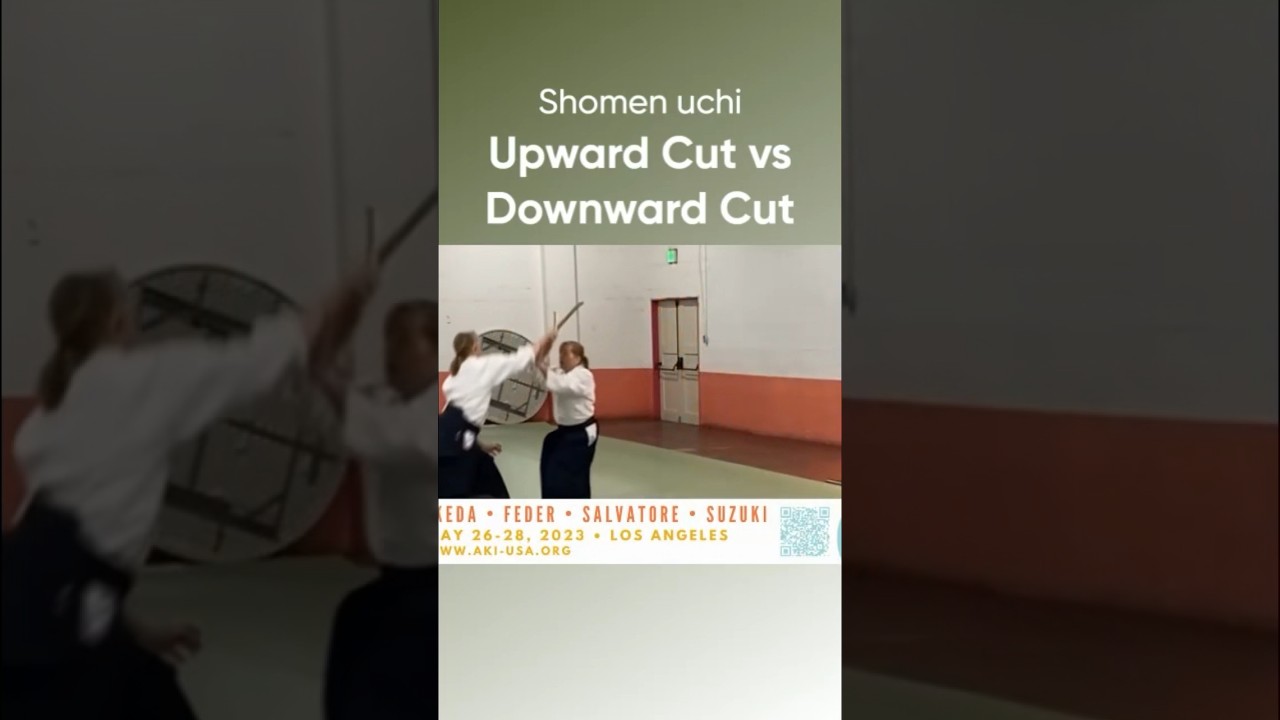 ShomenUchi Variations and Ma Ai Impact in #Aikido - #AikidoSeminar  #shortsfeed #shorts #shortsvideo