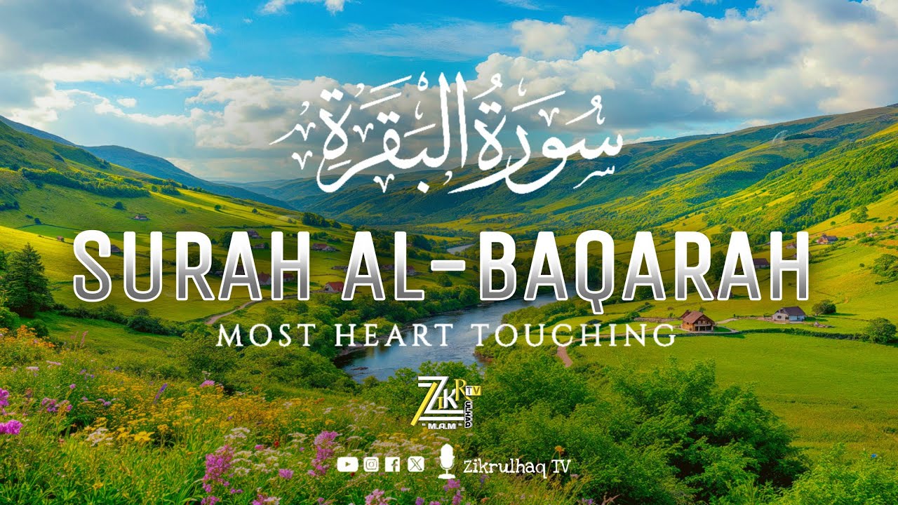 Most Relaxing Recitation of Surah AlBaqarah سورة البقرة | FULL SURAH 🛑 Heart Touching 💗