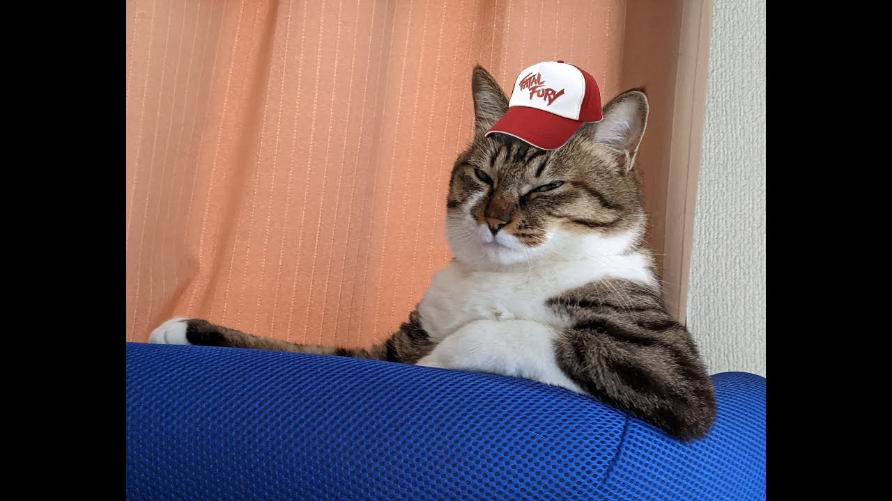 スト6　テリー