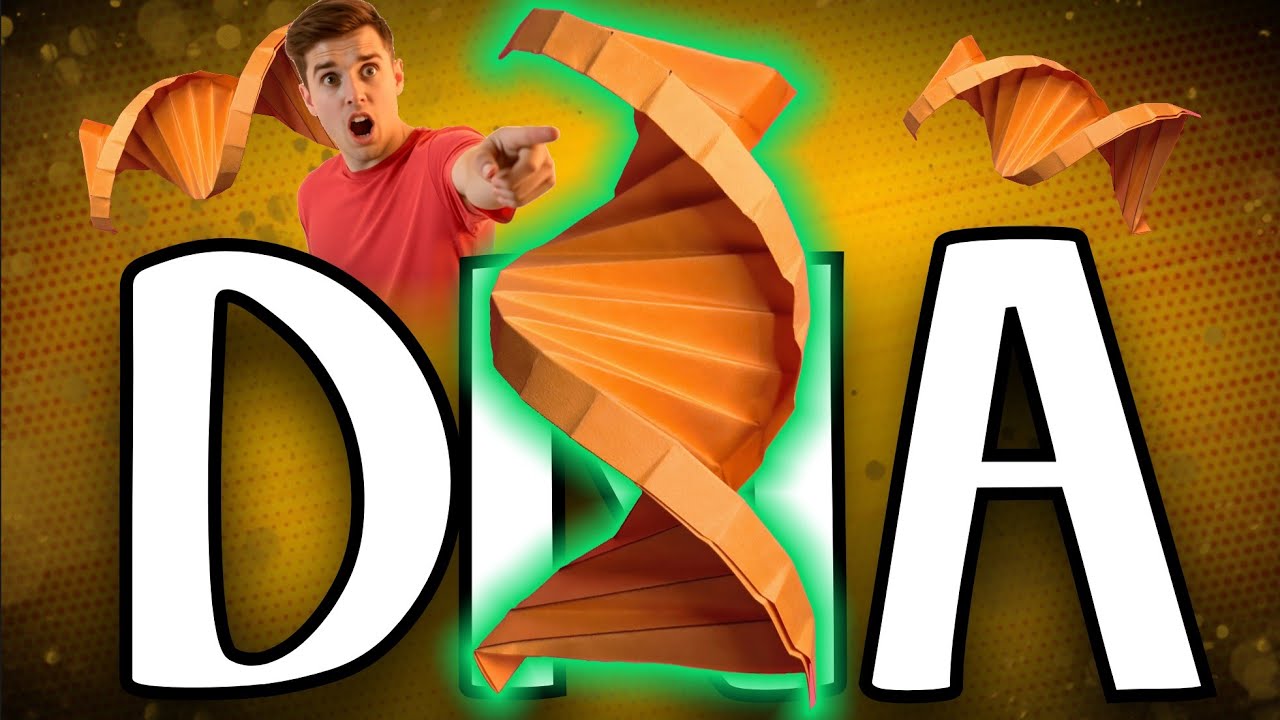 Origami DNA | How To Make A Paper DNA | World of Origami |