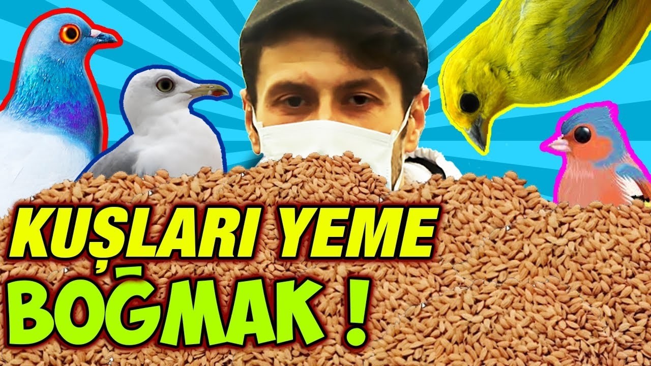 HAYVANLARA MAMAYA BOĞDUK! / SOSYAL YARDIM (SAYENİZDE)