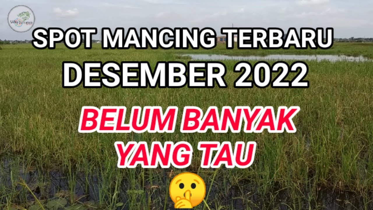 Latest Fishing Spot December 2022 in Palembang