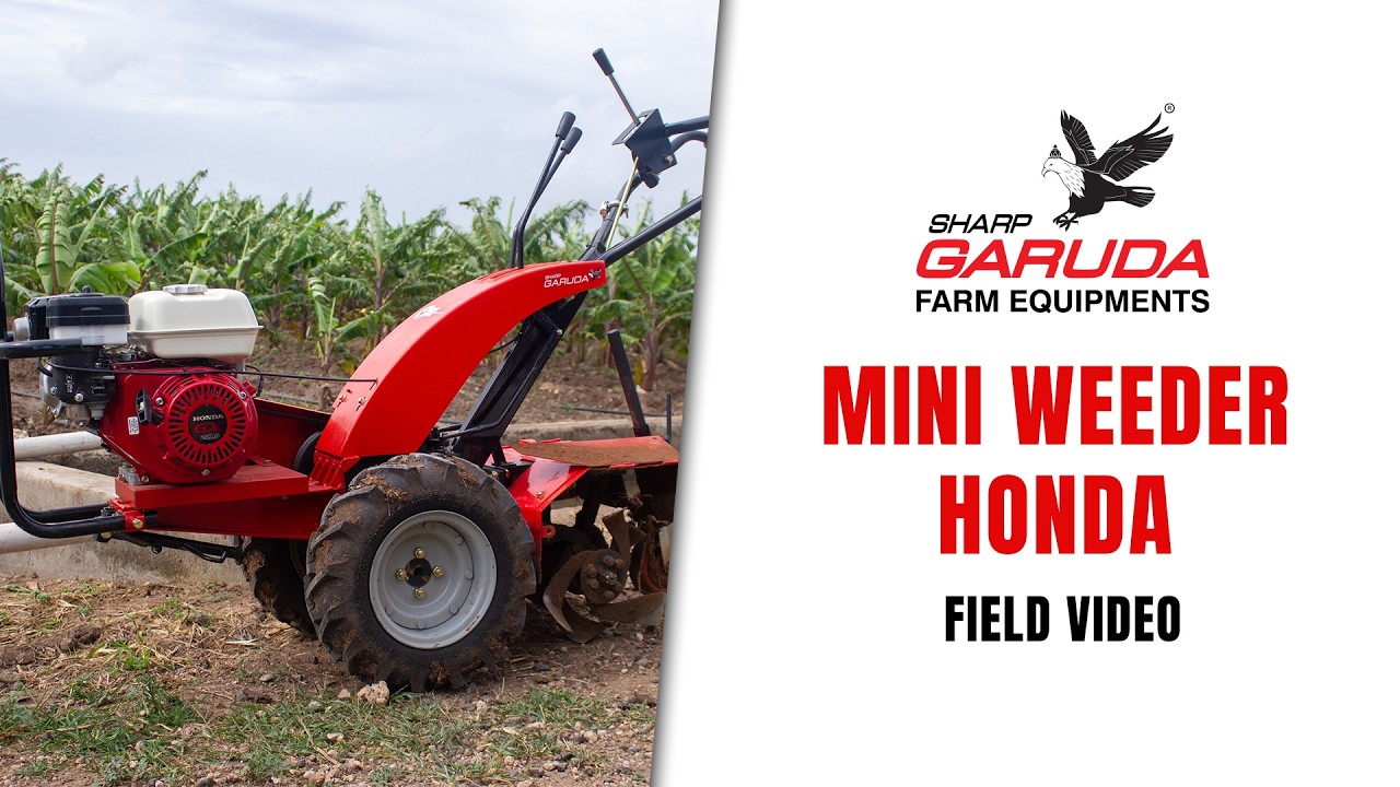 Honda Engine laaa Sharp Garuda mini weeder ..... banaba farm🤩