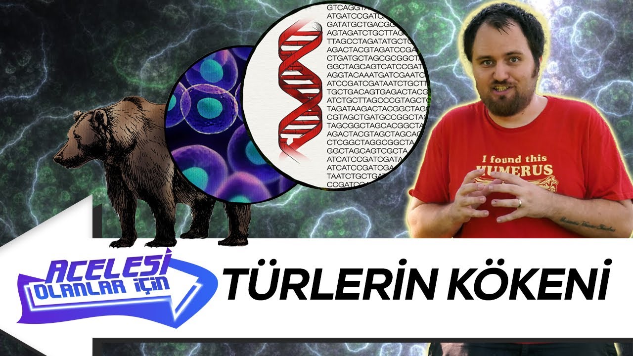Yüz Milyarlarca Tür Nereden Geldi? | Türlerin Kökeni Nedir?