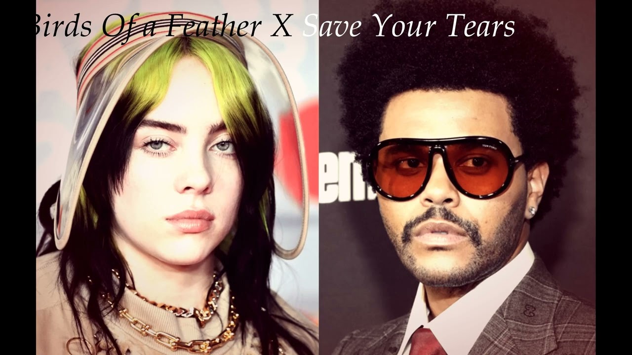 Birds Of a Feather X Save Your Tears Remix (Billie Eilish x The Weeknd mashup) TikTok Full Version