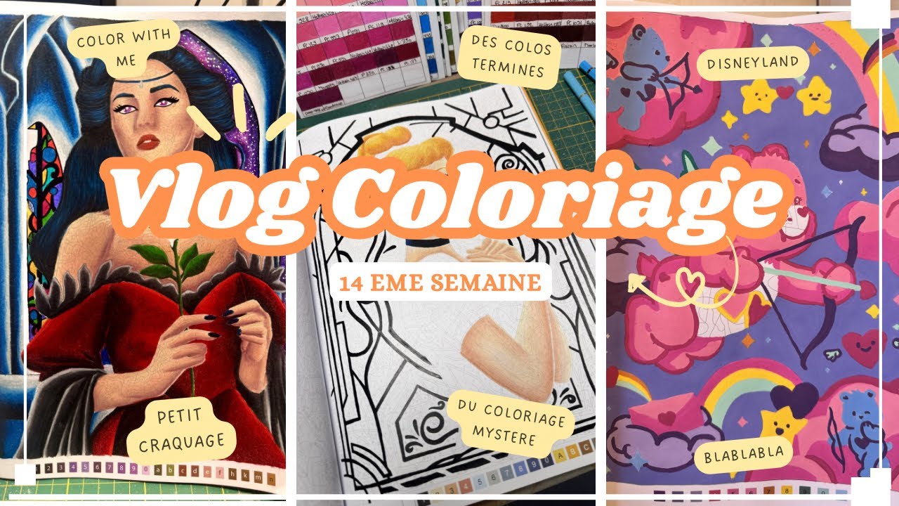 Vlog Colo n•14 : beaucoup de chantiers, des envies d’achats et des coloriages terminés 🥳