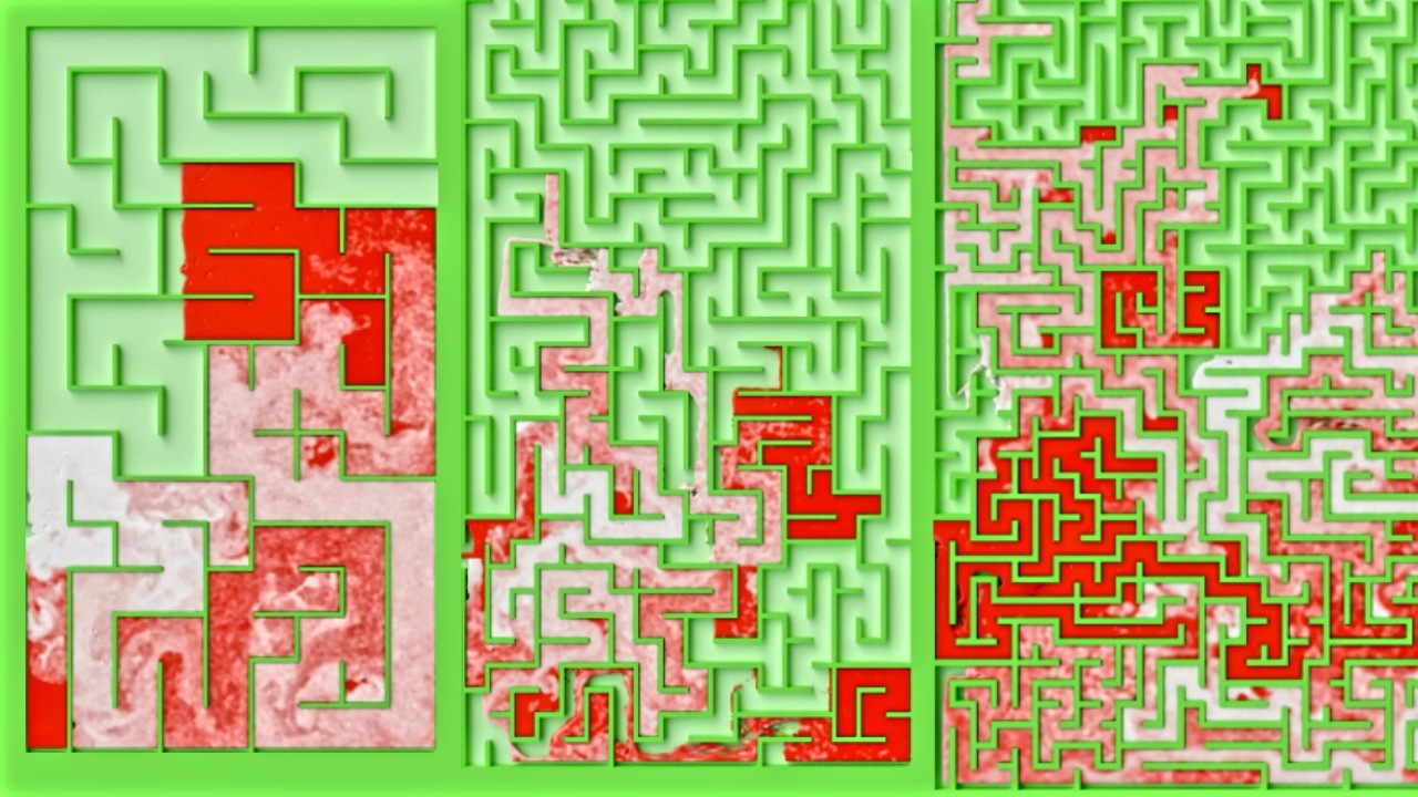 Can Candy Cane Fluid Solve the 3 Christmas Mazes? 🎄