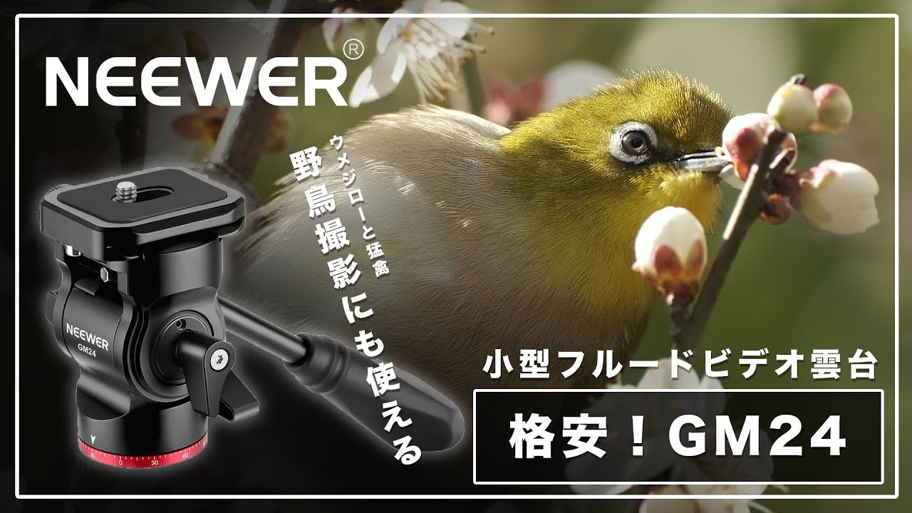 格安！小型フルード・ビデオ雲台 NEEWER GM24〜ウメジローから猛禽まで、野鳥撮影に使ってみた〜