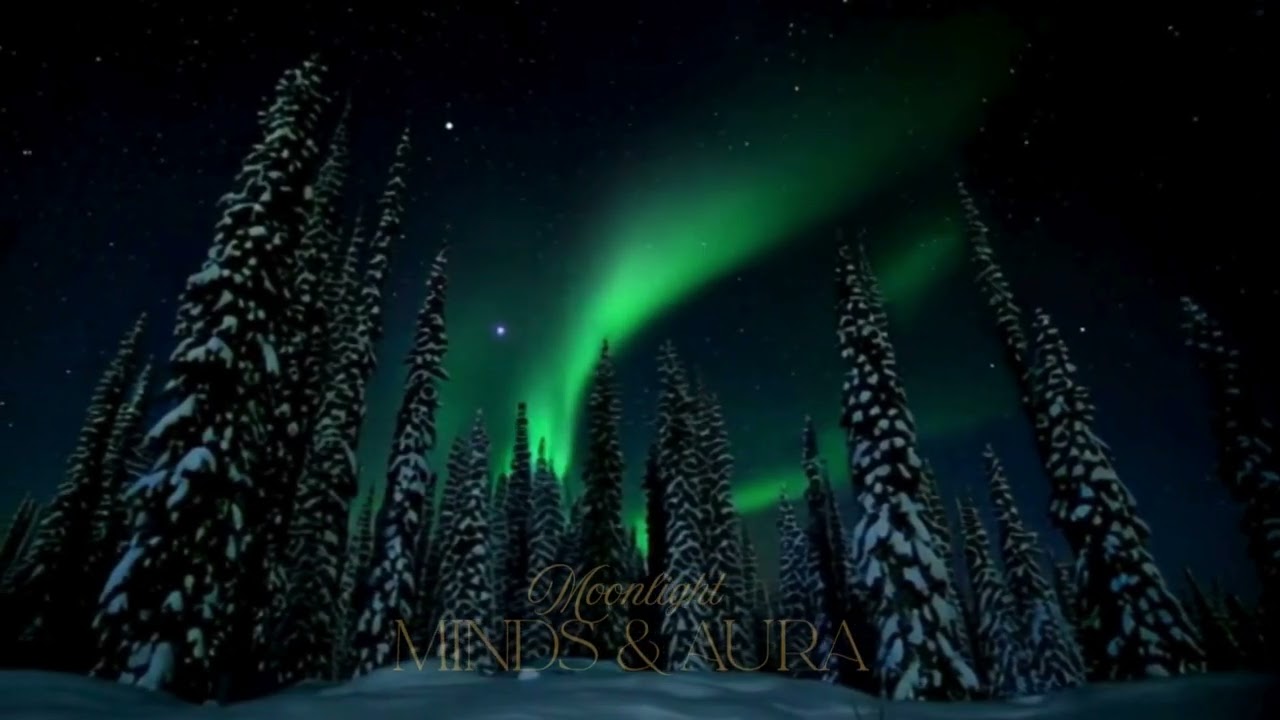 Winter Forest Stillness Meditation | 15 Minute Guided Visualization for Deep Calm & Relaxation