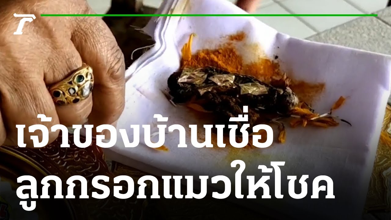 ฮือฮาเจ้าของบ้านได้โชค เชื่อเพราะลูกกรอกแมว | 10-08-64 | ตะลอนข่าว