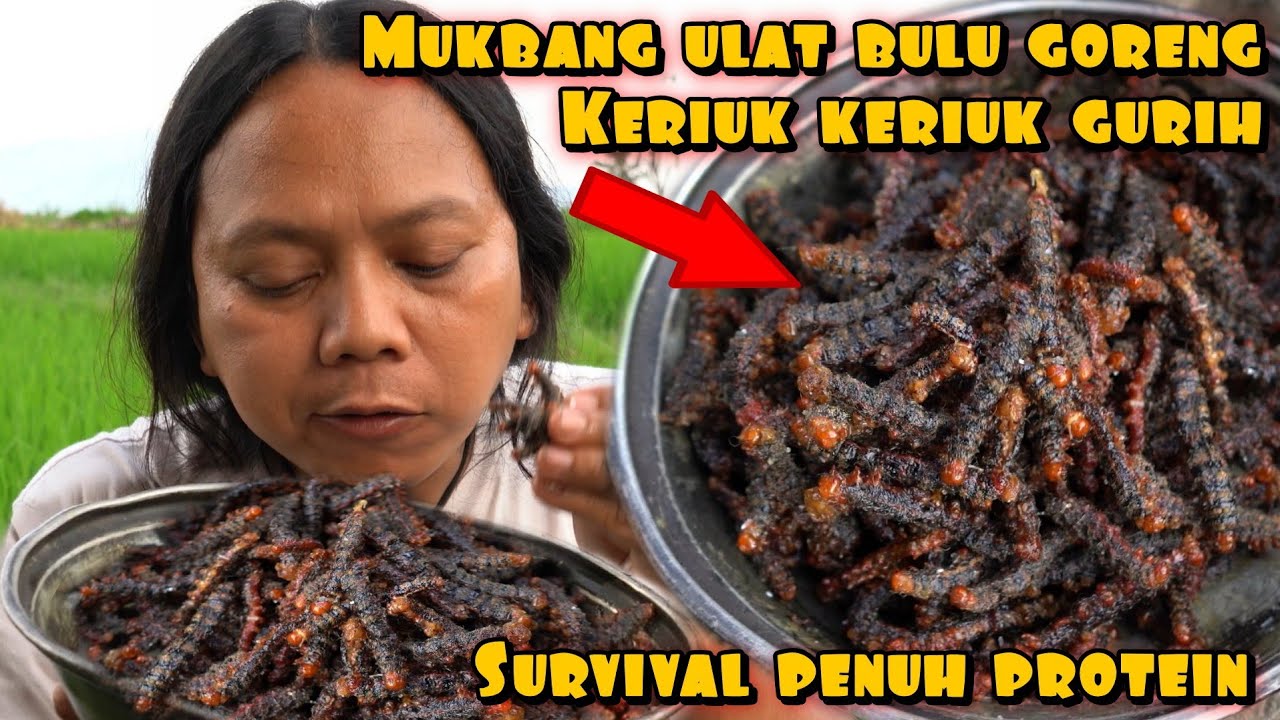 MUKBANG UL4T BULU GORENG RENYAH DI MULUT GURIH SEPERTI NORI