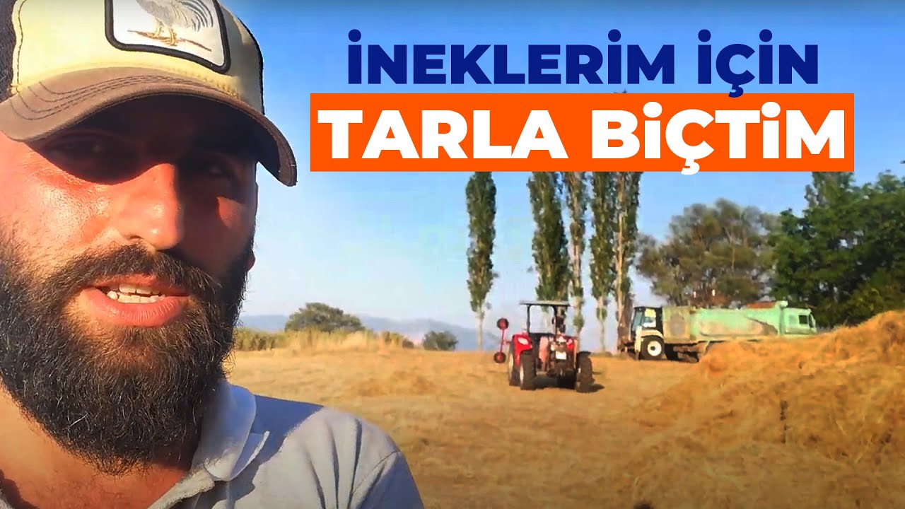 Hayvancılık Yapacaklar İ&ccedil;in Alternatif Yem &Uuml;retimi - Can Meşe - Şehirden Ka&ccedil;anlar