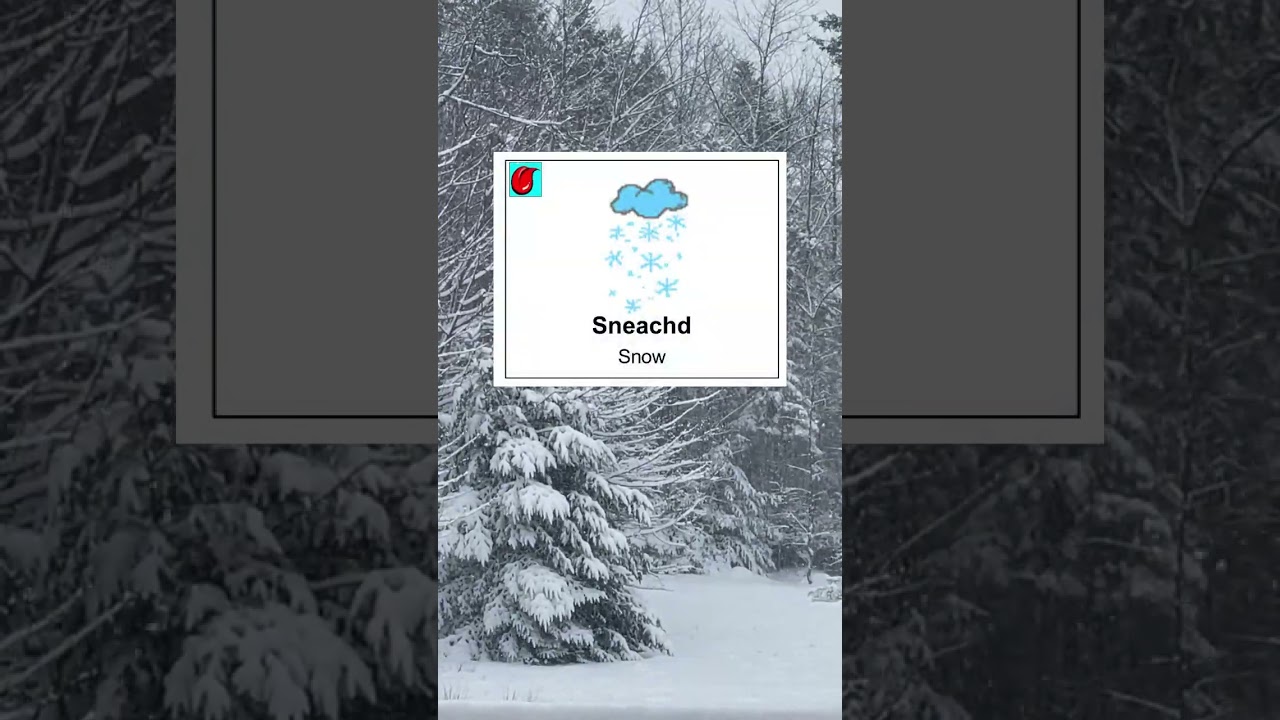 Snow is Sneachdʼ in Gaelic. #funwithgaelicfriday #gaelicns #speakgaelic #learngaelic #g&agrave;idhlig