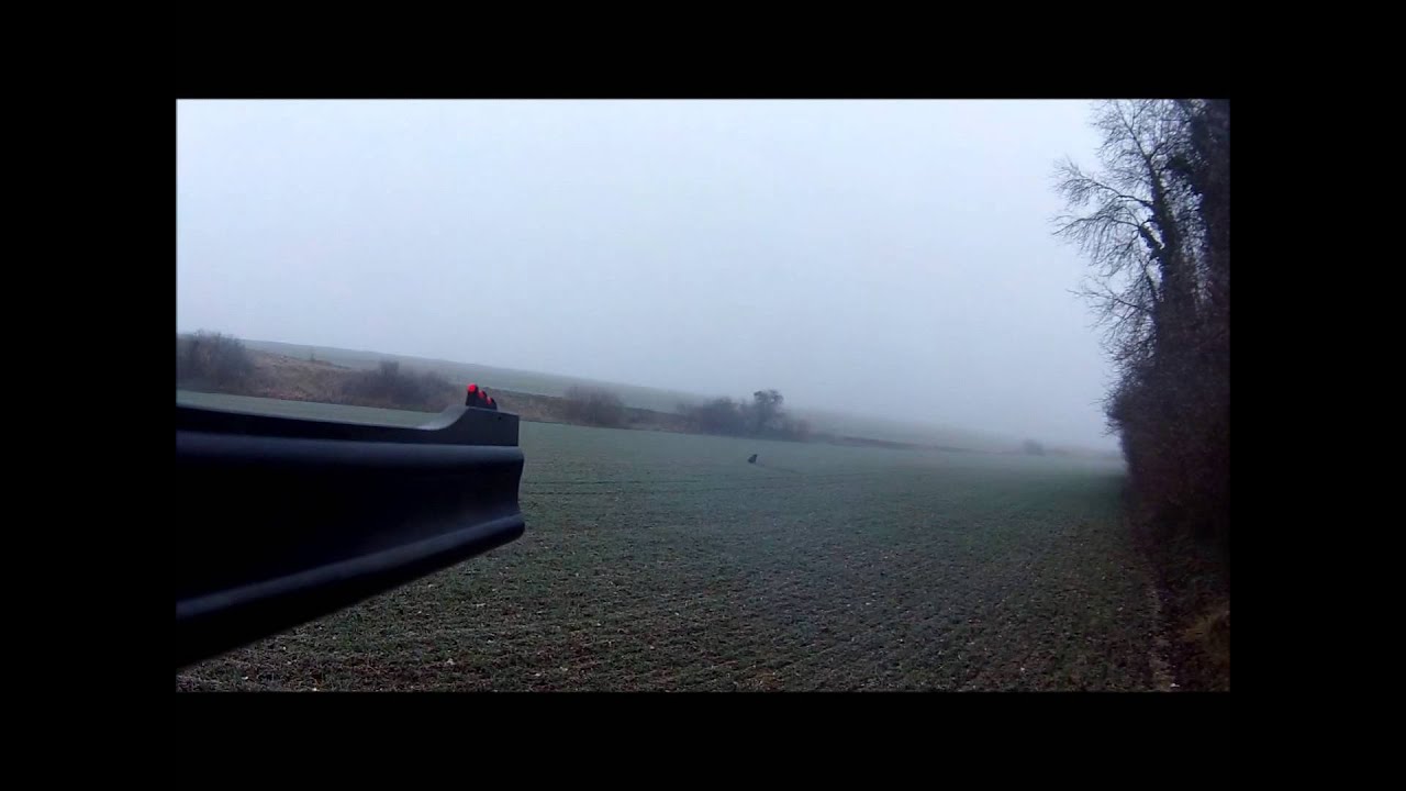 sanglier express Fair Safari 8x57 JRS Drift Ghost HD