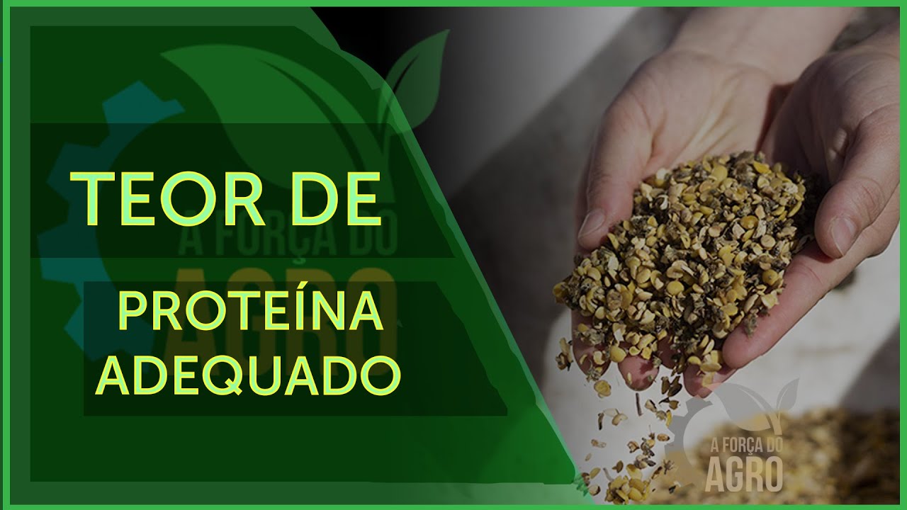 Quanto maior o teor de prote&iacute;na da cevada, melhor para ra&ccedil;&atilde;o animal