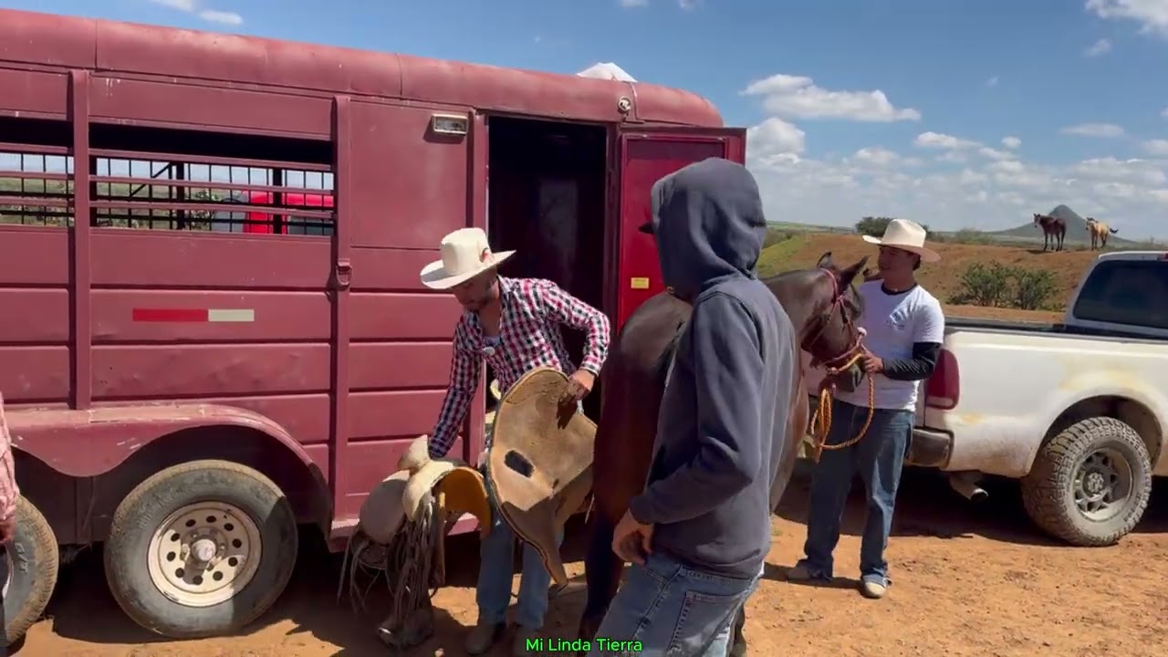 SOMOS LOS CHARRITOS DE TETILLAS Y NOS JUNTAMOS PARA PRACTICAR EL DEPORTE DEL COLIADERO