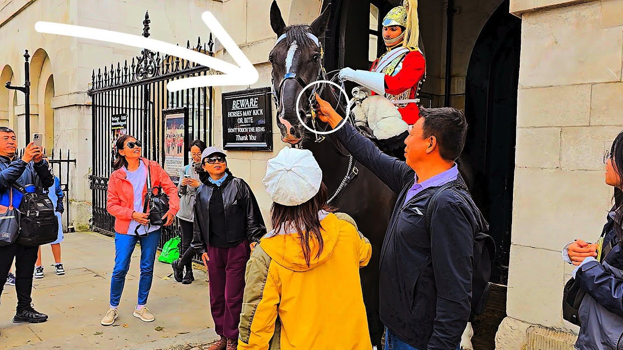 DISRESPECTFUL TOURIST'S BEHAVIOR Provokes a Reaction from the King's Guard at Horse Guards in London