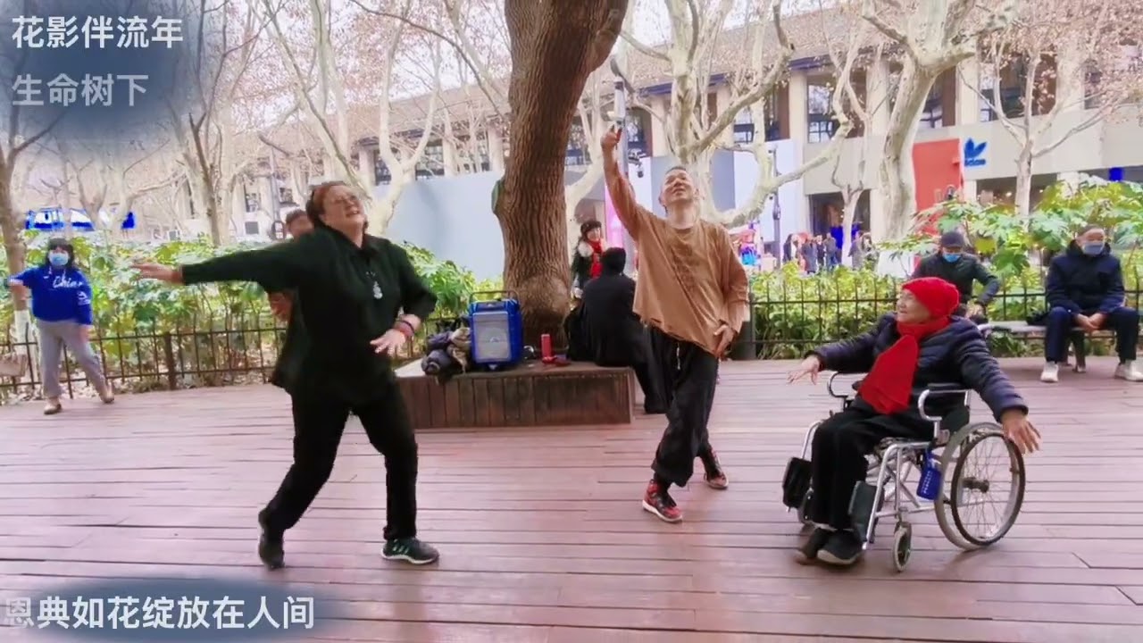 《花影伴流年》静静流淌的时光，藏在日常里的细腻与安然！