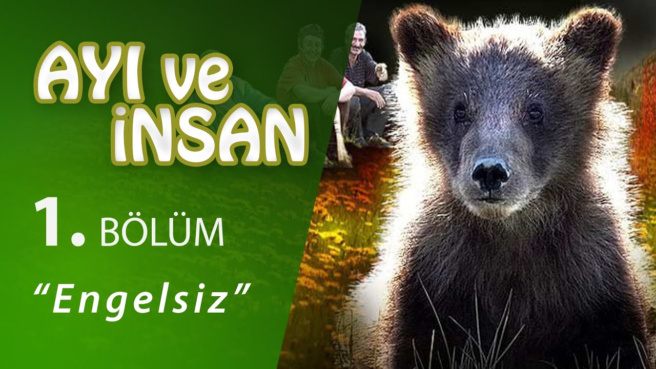 Ayı ve İnsan