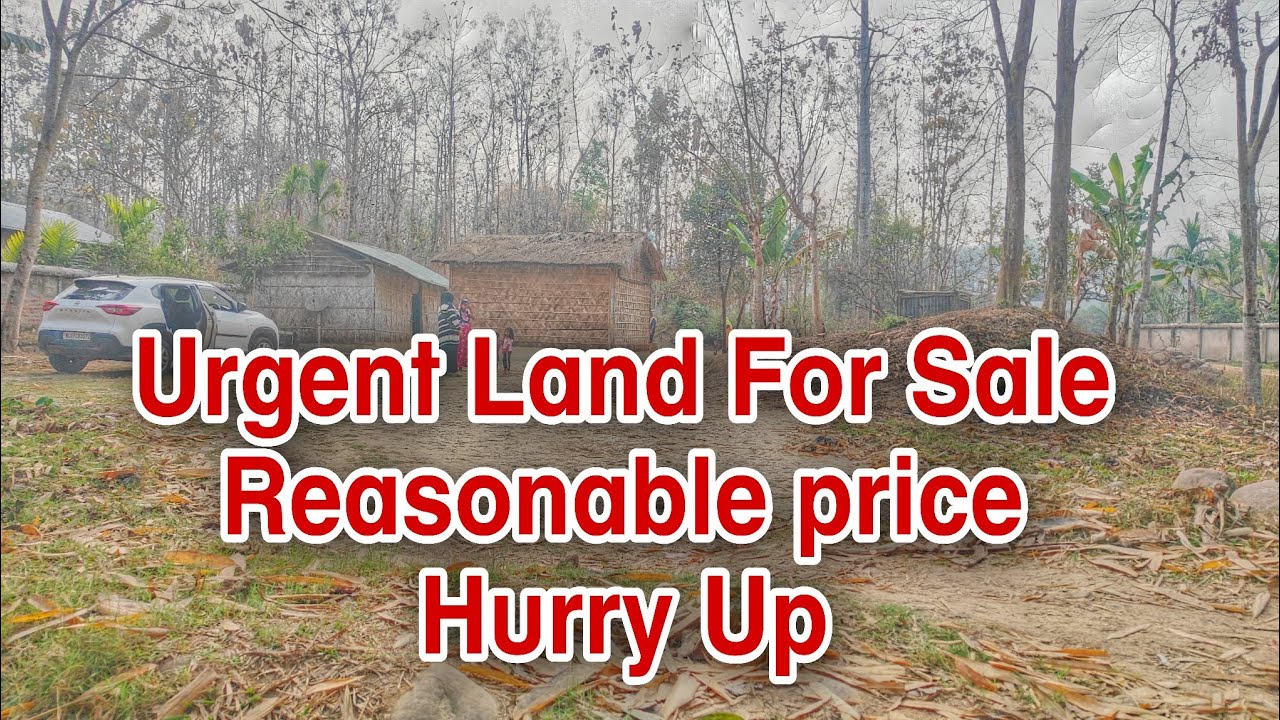 Urgent Land For Sale Location Ikshe village under chumukedima/6909940909/8798067638/