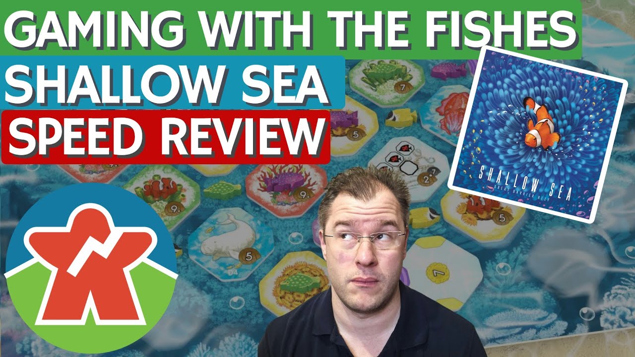 Обзор настольной игры &laquo;Shallow Sea&raquo; &mdash; Игра с рыбами
