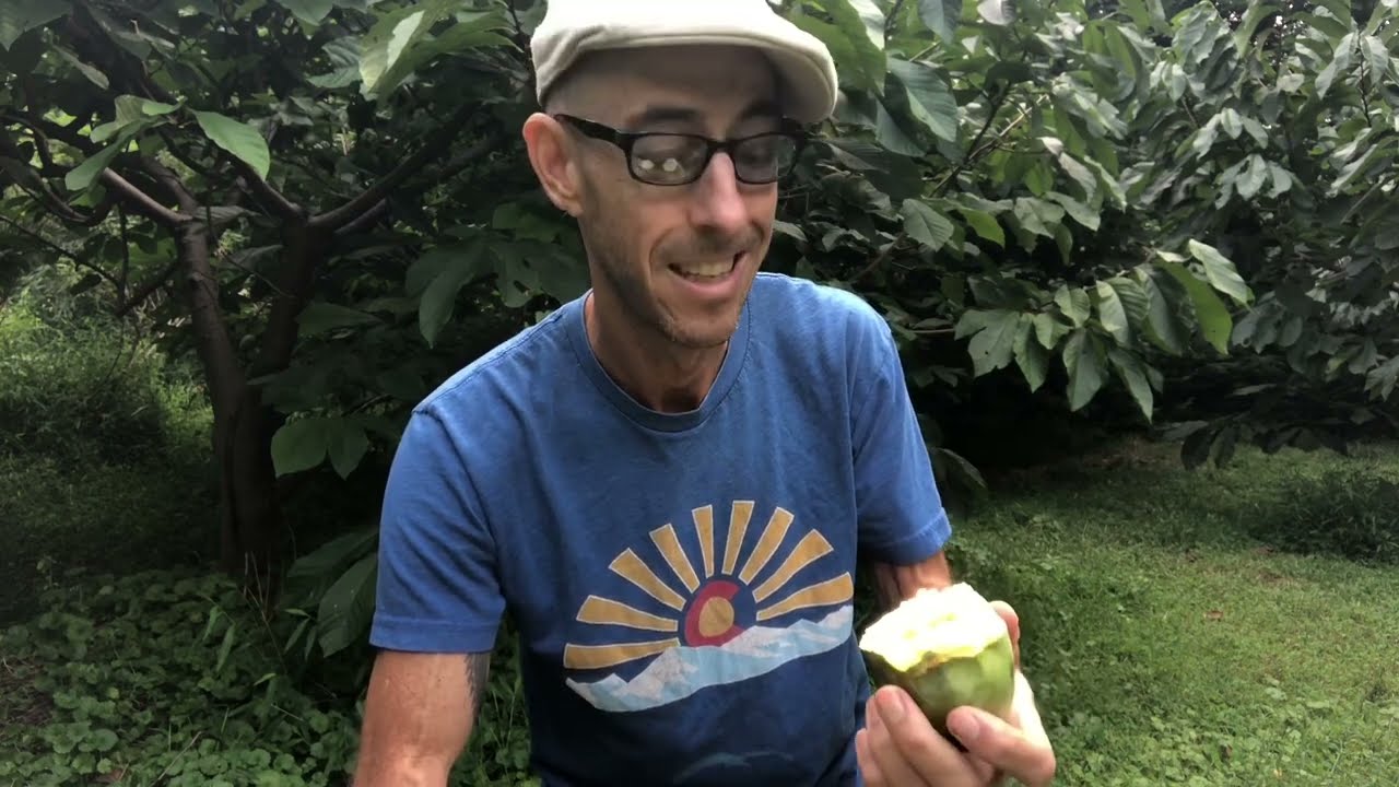 TALKING PAWPAW CULTIVAR ‘ALLEGHENY’ W/ MICHAEL JUDD