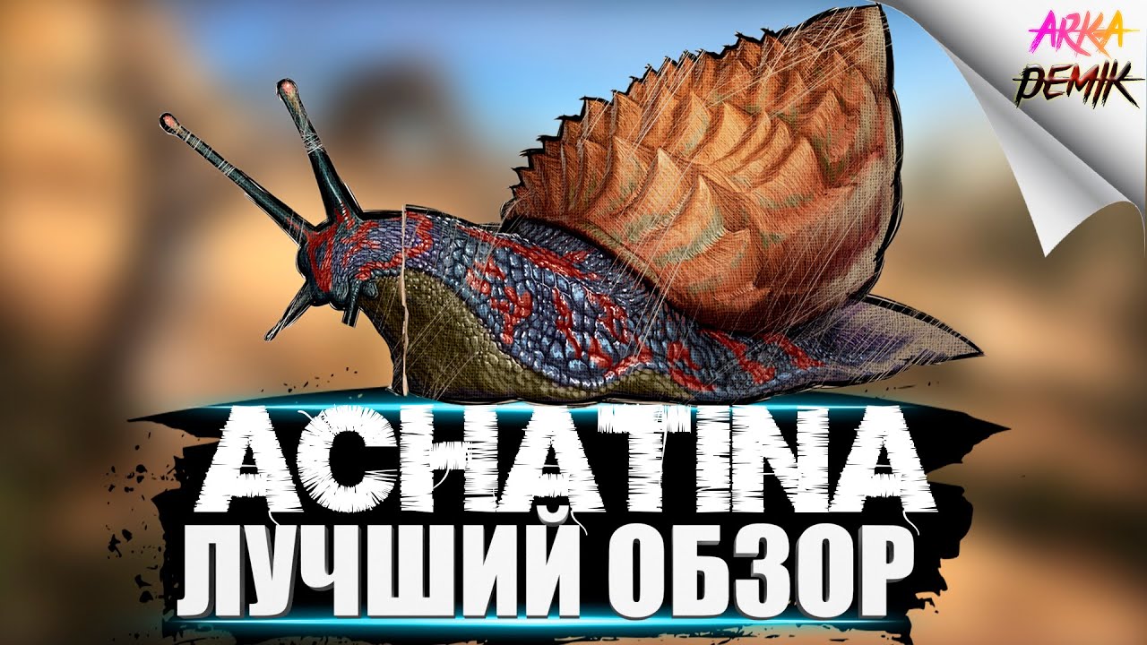 Ахатина (Achatina) в АРК.  Лучший обзор: приручение, разведение и  способности в ark.