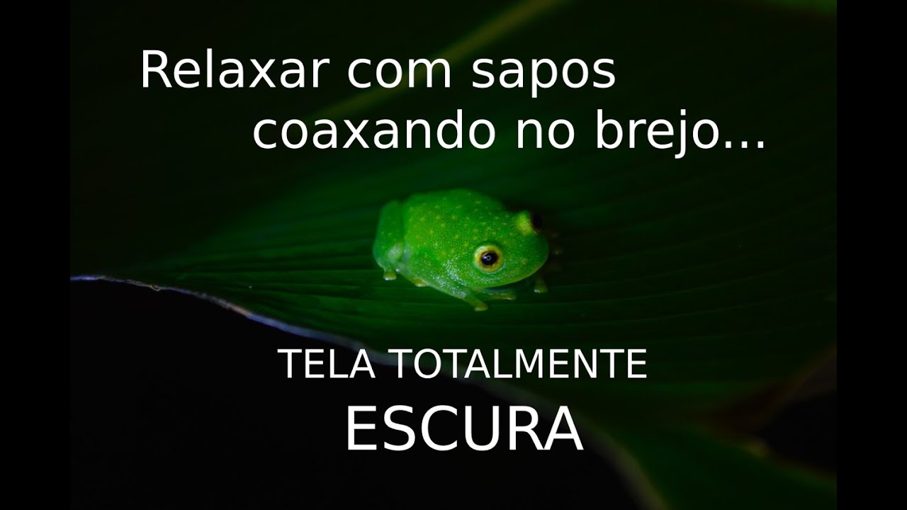 Dormir com sapos no Brejo coaxando - TELA ESCURA