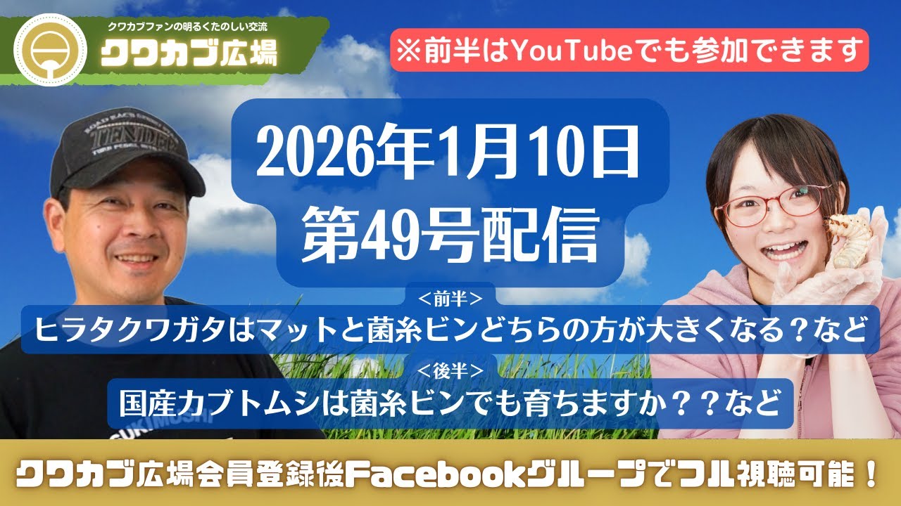 ヒラタクワガタはマットと菌糸ビンどちらの方が大きくなる？【クワカブ広場】クワカブ飼育相談室/Shihoさんに質問コーナー！〈1月/49号〉#クワガタ #カブトムシ #クワカブ #飼育方法