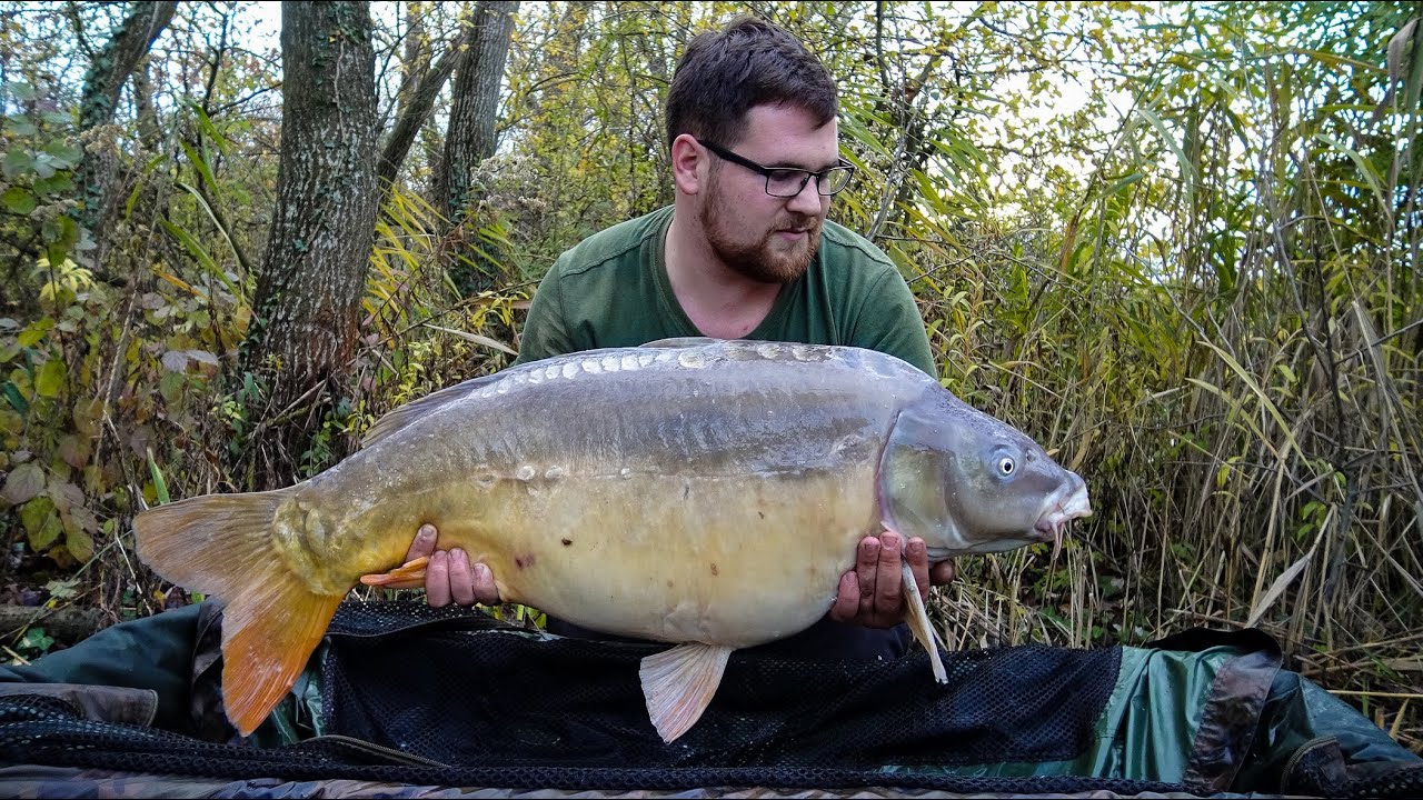Bojlival magyar vizeken E-02 ~ Késő őszi pontyhorgászat 🎣🎣