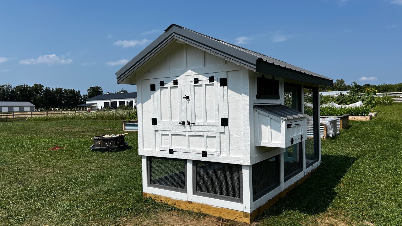 The Best Way to Trim Your Chicken Coop