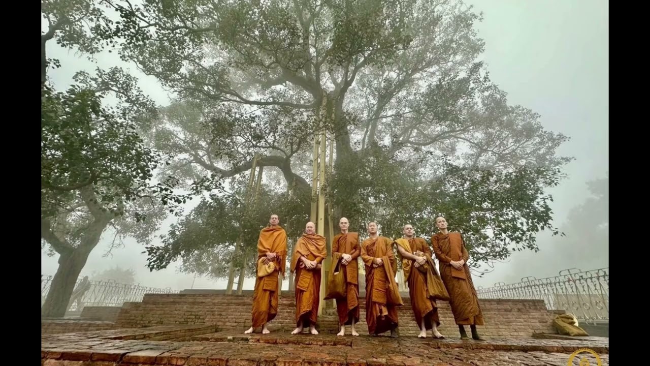 13. India Pilgrimage 11 Jan - Jetavana Monastery - Ananda Bodhi Tree
