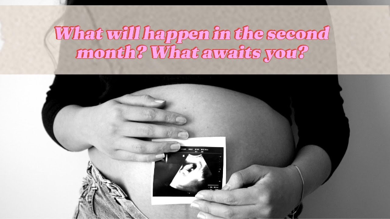 What Really Happens in Month 2 of Pregnancy?