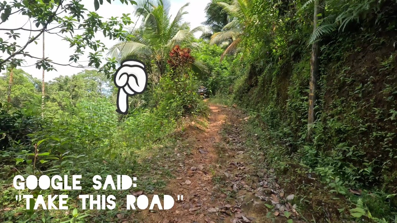 The Road to Sinharaja ° Sri Lanka | Short version 