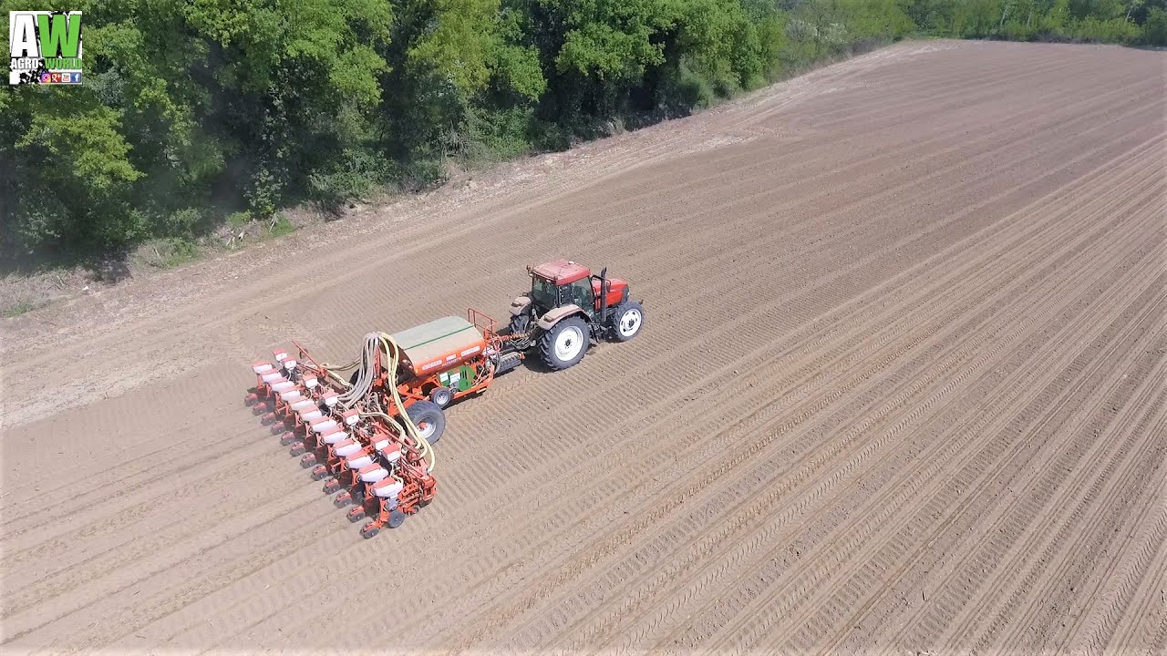 Case Ih Mx150 Maxxum - Maschio Gaspardo Scatenata 12 row - Seeding Corn