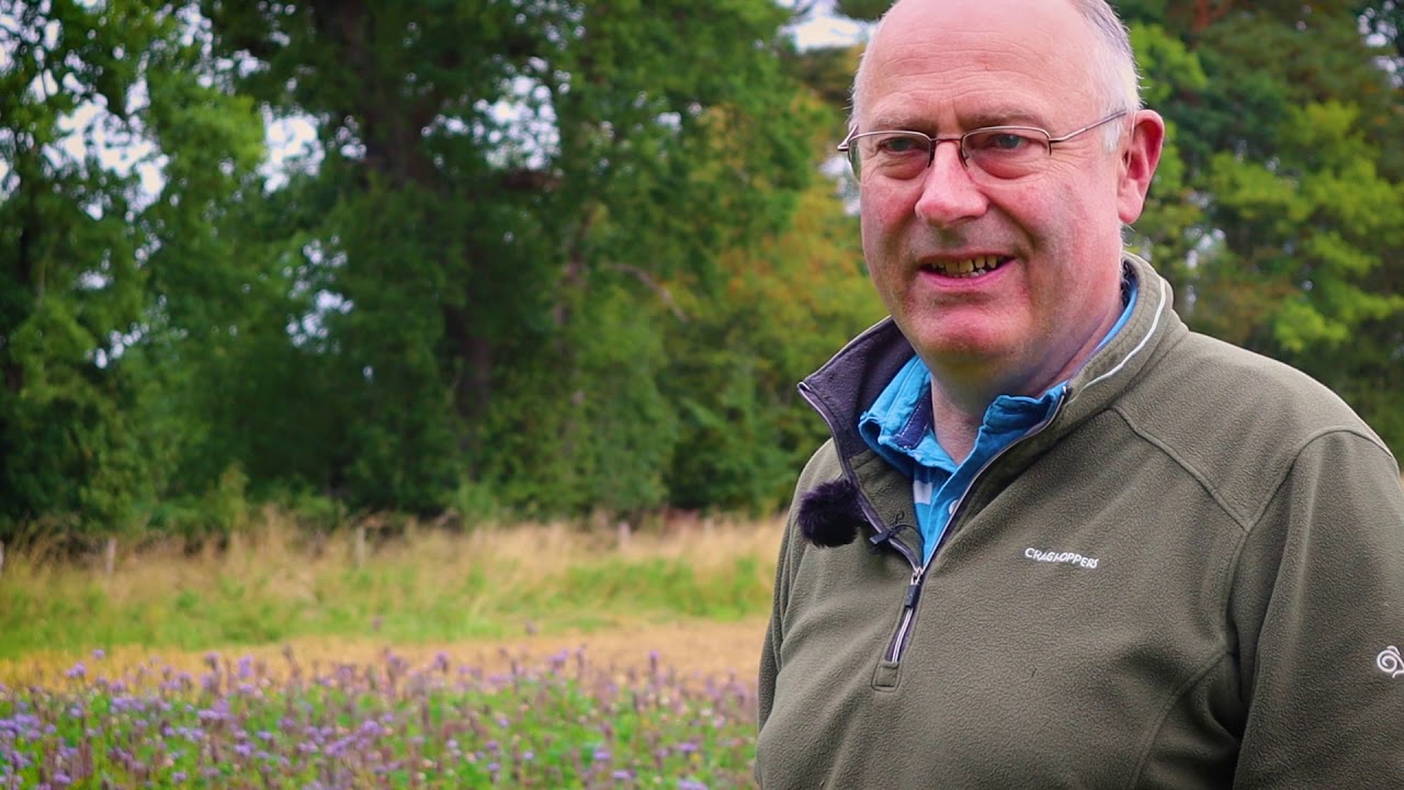 Creating habitats for pollinators: top tips from the experts