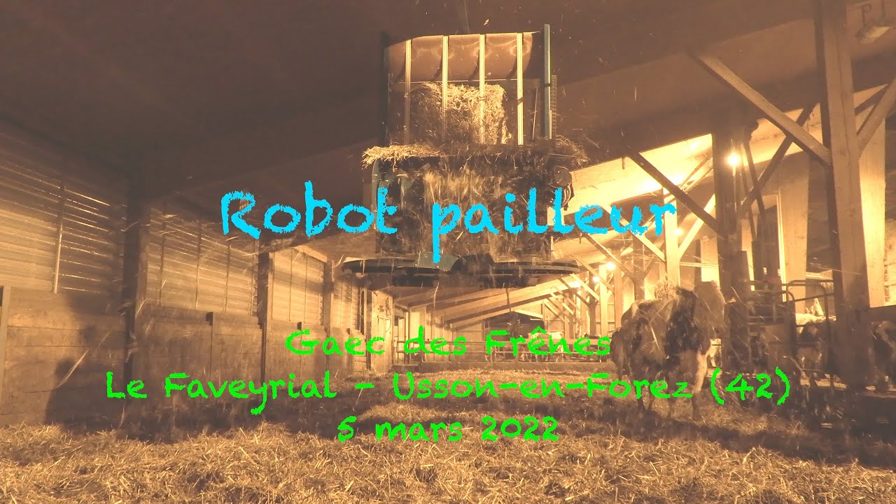 Robot pailleur. Gaec des Frênes. Le Faveyrial. Usson-en Forez (42)