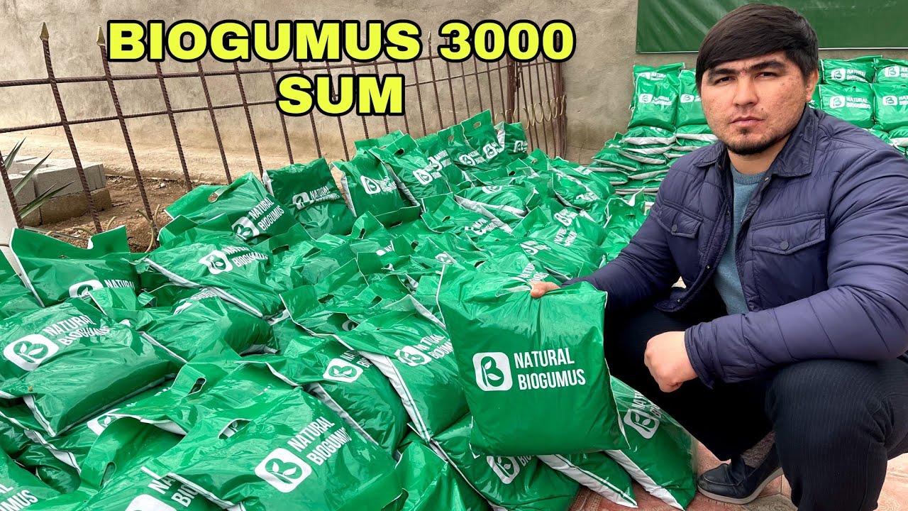 BIOGUMUS NARXI 3000 SUM BULDI  100 TONNA BUNAQASI BOMAGAN +998945221881