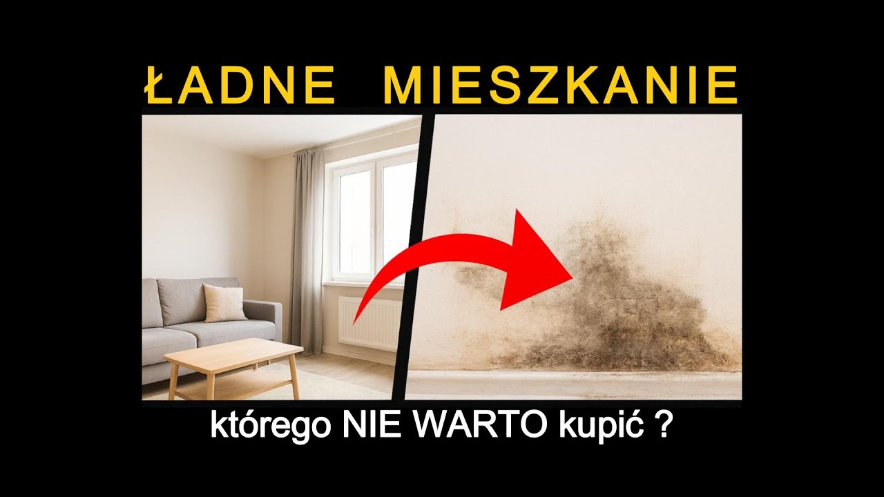 Inspekcja mieszkania przed zakupem 