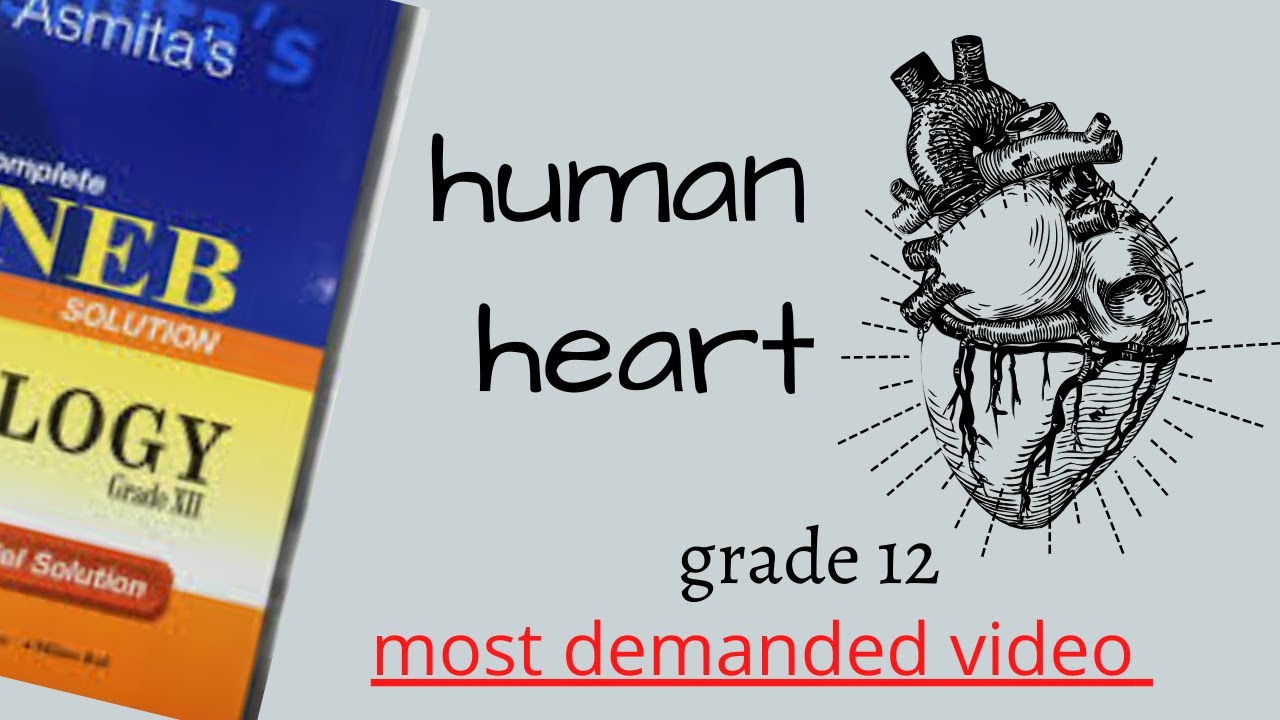 HUMAN HEART | Structure & function of heart | IMP LQ of ZOOLOGY explained in Nepali for NEB STUDENTS