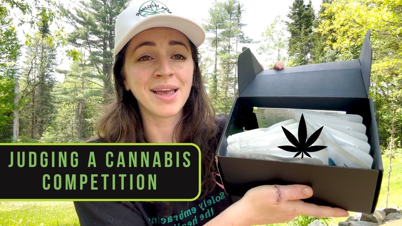 My first experience as a cannabis judge: Riley VS. 14 Strains of Weed (part 1?)