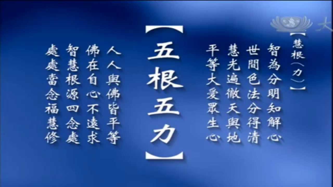 五根五力七覺支MV