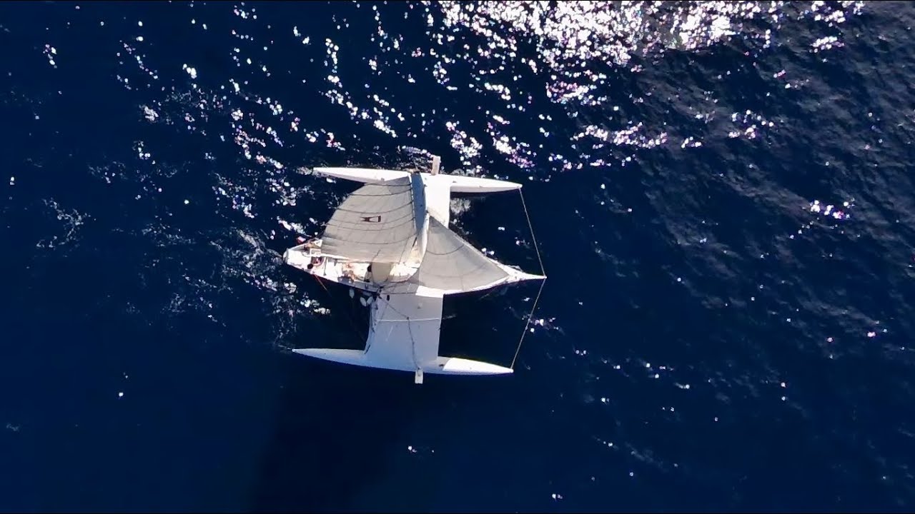 Histoire de sargasses - Trimaran Dick Newick Echo 36