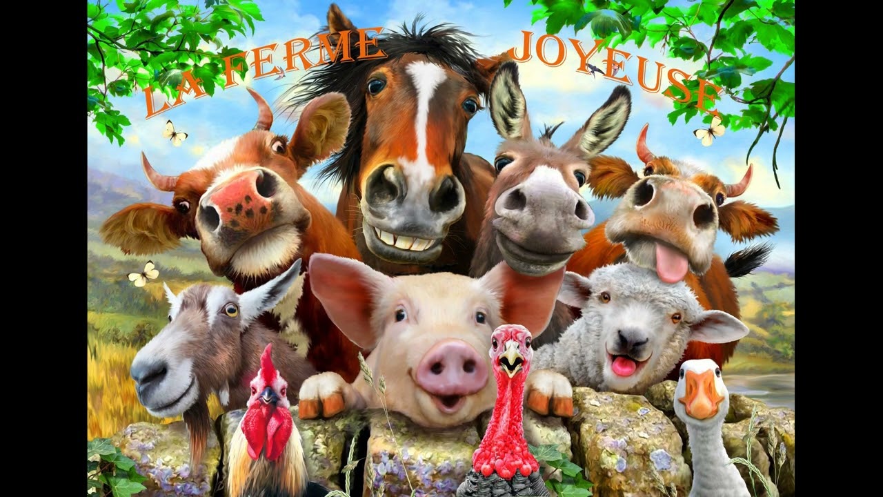 la ferme joyeuse