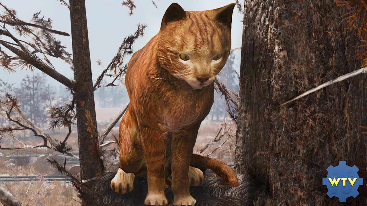 Side Stories - Mr Sparkles The Cat | Fallout 76