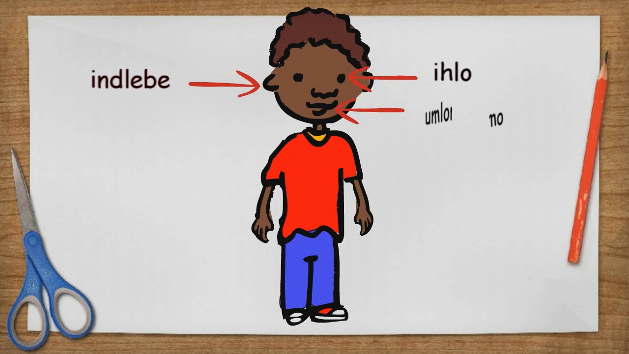 isiZulu The body / Die liggaam Immersion 5.3