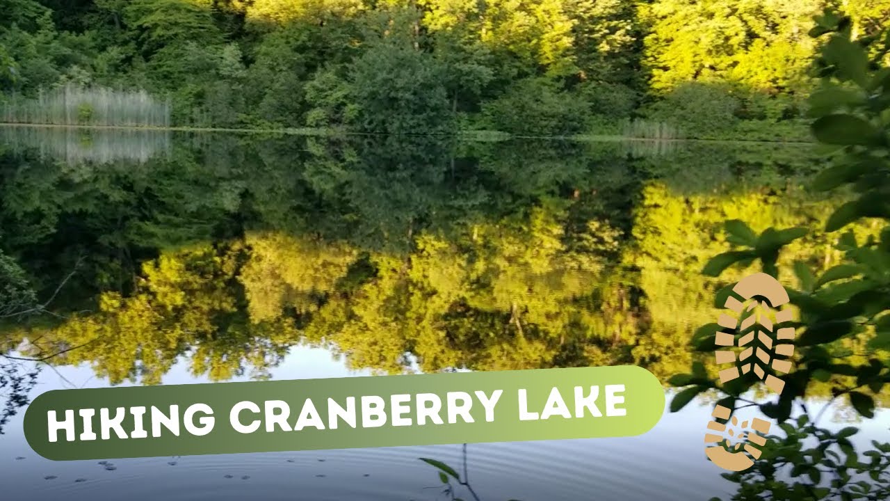 Hiking Cranberry Lake Preserve Westchester County NY
