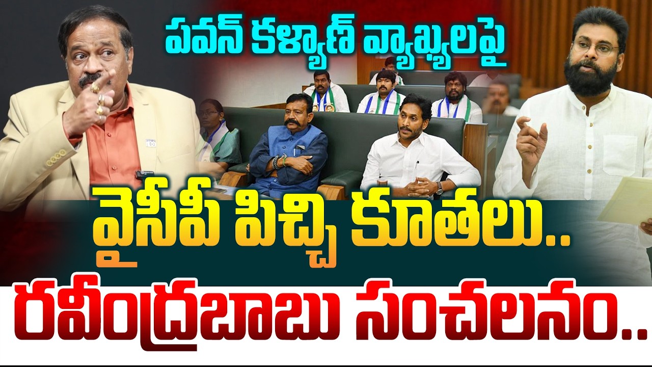 పవన్ కళ్యాణ్ వ్యాఖ్యలపై వైసీపీ పిచ్చి కూతలు.. Analyst Ravindra On YSRCP About Pawan Kalyan