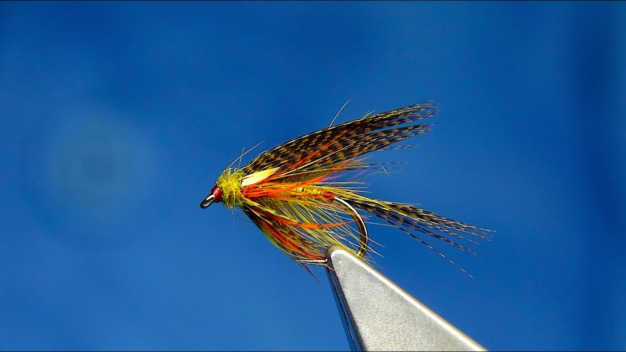 Tying a Honey Yellow Dabbler by Davie McPhail