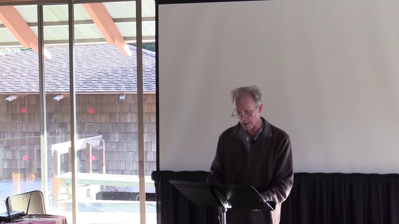 A New World Naked: Gebser, Jung, Hillman, and the American Mythos - Daniel Polikoff